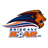 Brisbane Roar Football Club logo soccer