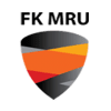 Vilniaus MRU logo football