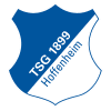 TSG 1899 Hoffenheim logo football prediction game