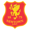 Newtown Association Football Club logo